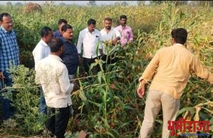 शेतकऱ्यांच्या थेट बांधावर…… आमदार जवळगावकर….