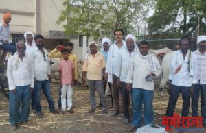 हिमायतनगर येथील महावितरण उपविभाग कार्यालयावर लाईट सुरू करण्याच्या मागणी साठी शेतकरी व मुक्या जनावरांना मोर्चा धडकला…