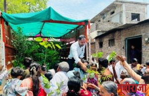 इंद्रवाड शिल्लेवाड विवाह सोहळ्यात उपस्थितांना मिळाली वृक्ष लागवडीची अनोखी भेट …..