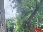 वाडेगाव येथील स्थानिक गजानन वाडी नागरिकांचे स्वास्थ धोक्यात