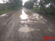 पळसपुर – डोल्हारी अंतर्गत येणारा रस्ताच्या कामाला गुत्तेदाराचा मनमानी कारभार….