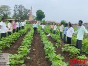 कृषी विभाग हिमायतनगर यांच्या वतिने मोजै कोठा येथे शेतीशाळा संपन्न*