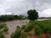 अतिवृष्टीमुळे पिकांचे अतोनात नुकसान.