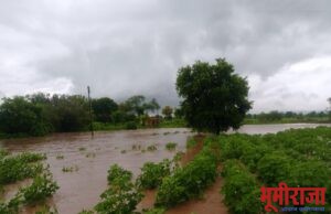 अतिवृष्टीमुळे पिकांचे अतोनात नुकसान.
