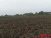 निकष न बघता सरसगट आर्थिक मदत करावी.