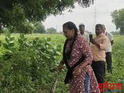 आठ फुट लांब अजगराला दिले जीवदान