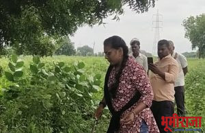 आठ फुट लांब अजगराला दिले जीवदान