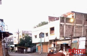 नगरपंचायत प्रशासनाचे हिमायतनगर शहराकडे साफ दुर्लक्ष….