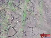 पाच पाच मिनीटाला लाईट जाते साहेब, काहीतरी करा.