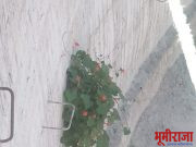 @ छाटले जरी मला @