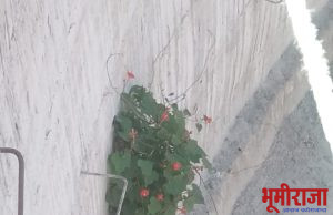 @ छाटले जरी मला @