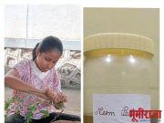 पोद्दार स्कूलची विद्यार्थिनी आराध्या पाठक ने बनविले कडुलिंबाचे किटकनाशक..!