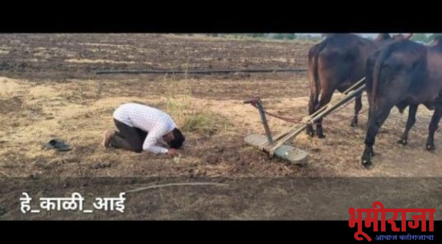 हे…काळी आई आता तुच पदरात घे!