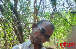 शेतकरी का मरतो आहे