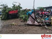 चक्रीवादळामुळे घरे, झाडांचे प्रचंड नुकसान..