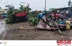 चक्रीवादळामुळे घरे, झाडांचे प्रचंड नुकसान..