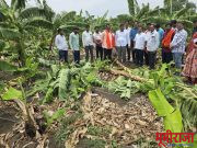 नुकसानग्रस्त शेतक-यांच्या बांधावर थेट पोहचले आमदार बाबुराव कोहळीकर..