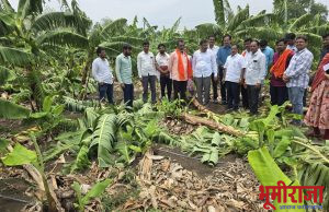नुकसानग्रस्त शेतक-यांच्या बांधावर थेट पोहचले आमदार बाबुराव कोहळीकर..