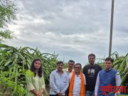 शेतक-यांनी फळबाग लागवड करावी..