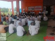 सेंद्रिय शेतीकडे चला