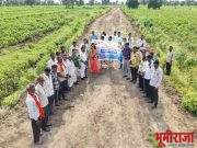 महसूल सप्ताह निमित्त मौजे सिरंजनी येथे वृक्षारोपण..