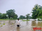 पावसाचा हाहाकार…अतिवृष्टी मुळे हजारो हेक्टर जमिनीवरील पिके पाण्यात…