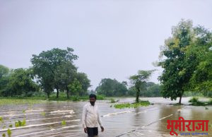 पावसाचा हाहाकार…अतिवृष्टी मुळे हजारो हेक्टर जमिनीवरील पिके पाण्यात…