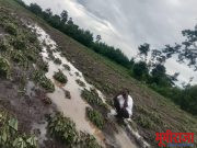 अतिवृष्टिच्या पावसाने शेतक-यांचे प्रचंड नुकसान