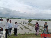 पैनगंगा नदीच्या आलेल्या पुरामुळे बाधित झालेल्या नुकसानीची पहाणी करताना