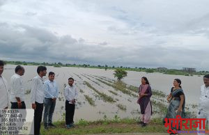 पैनगंगा नदीच्या आलेल्या पुरामुळे बाधित झालेल्या नुकसानीची पहाणी करताना