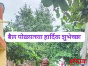 अतिवृष्टीच्या तडाख्यातुन सावरत बळीराजाने साजरा केला बैलपोळा.