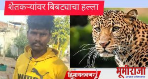 बिबट्याच्या वावराने शेतकरी हैराण…