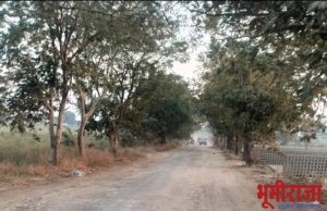 हाता ते कारंजा रमजानपुर रस्त्याची दुरावस्था कधी सुधारणार लोकप्रतिनिधी चे ग्रामीण भागातील रस्त्याकडे दुर्लक्ष