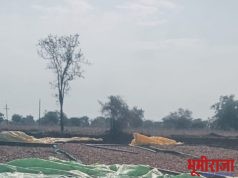 वादळी वा-यासह पावसाचा कहर..