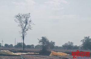 वादळी वा-यासह पावसाचा कहर..